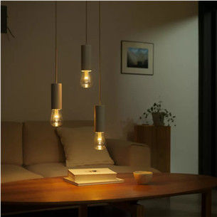 Philips Hue Lightguide, ST72, E27, black - LED light