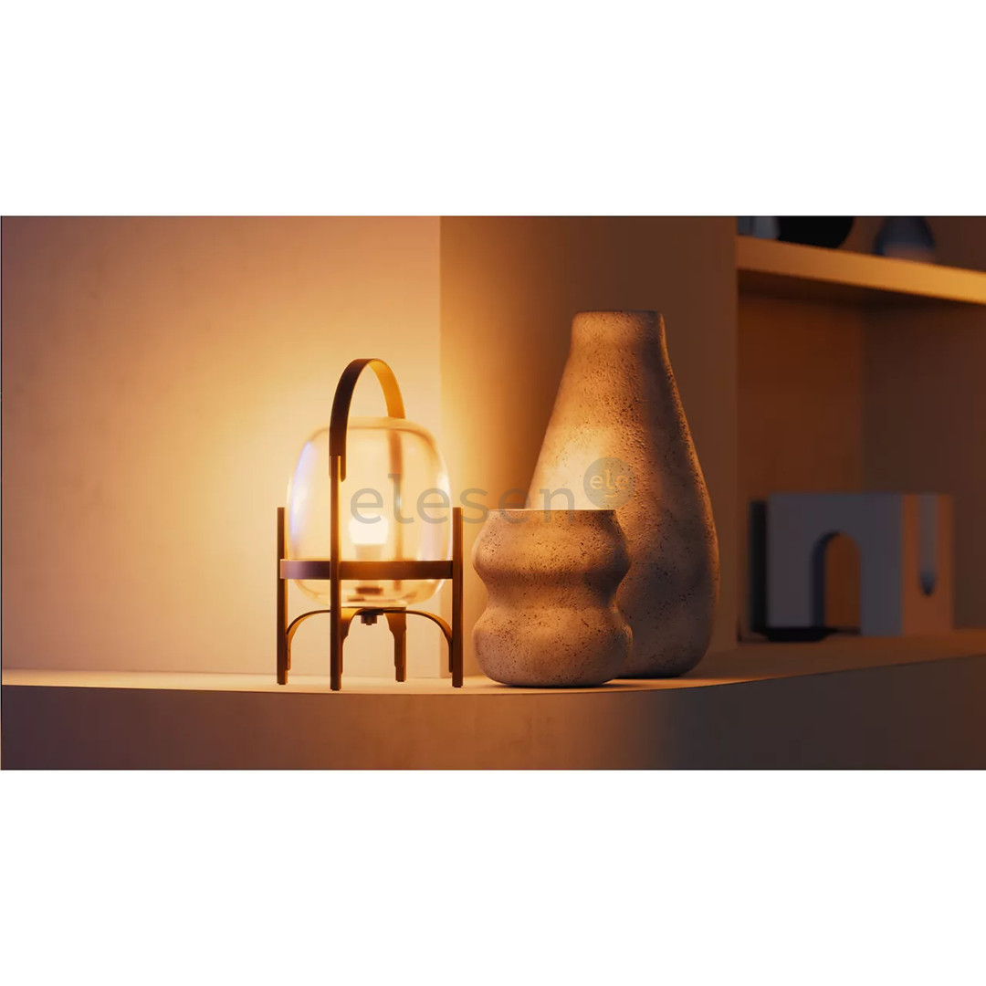 Philips Hue White A60, E27, 2 pcs, white - Smart Light