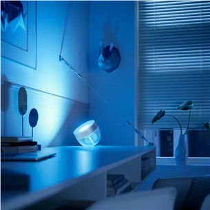 Philips Hue Iris Special Edition, sidabro spalvos - LED šviestuvas