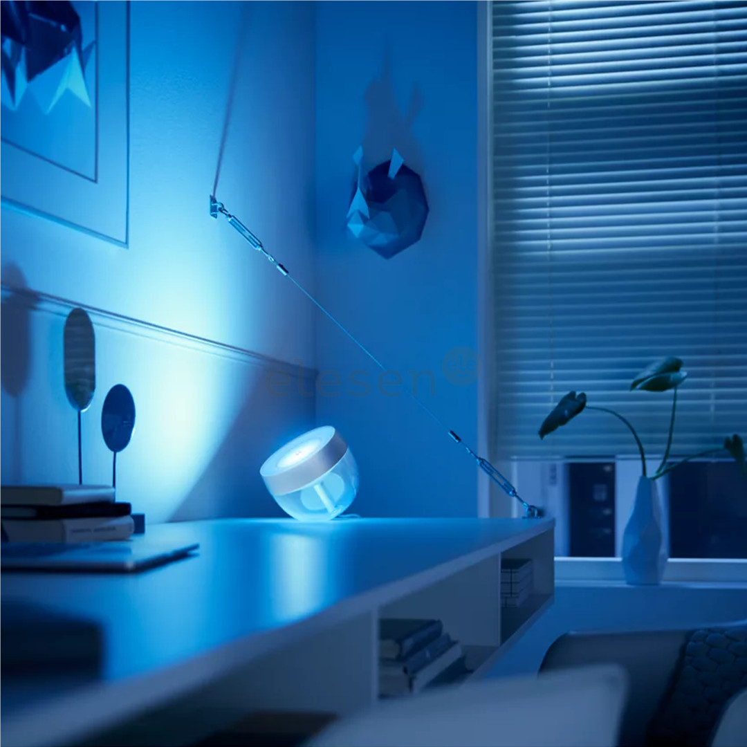 Philips Hue Iris Special Edition, sidabro spalvos - LED šviestuvas
