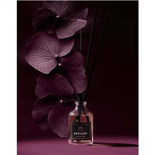 Aromatic89, Epsilon, classic bottle, 50 ml - Reed diffuser