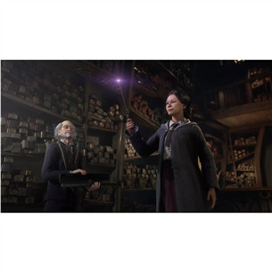 Hogwarts Legacy, Nintendo Switch - Žaidimas