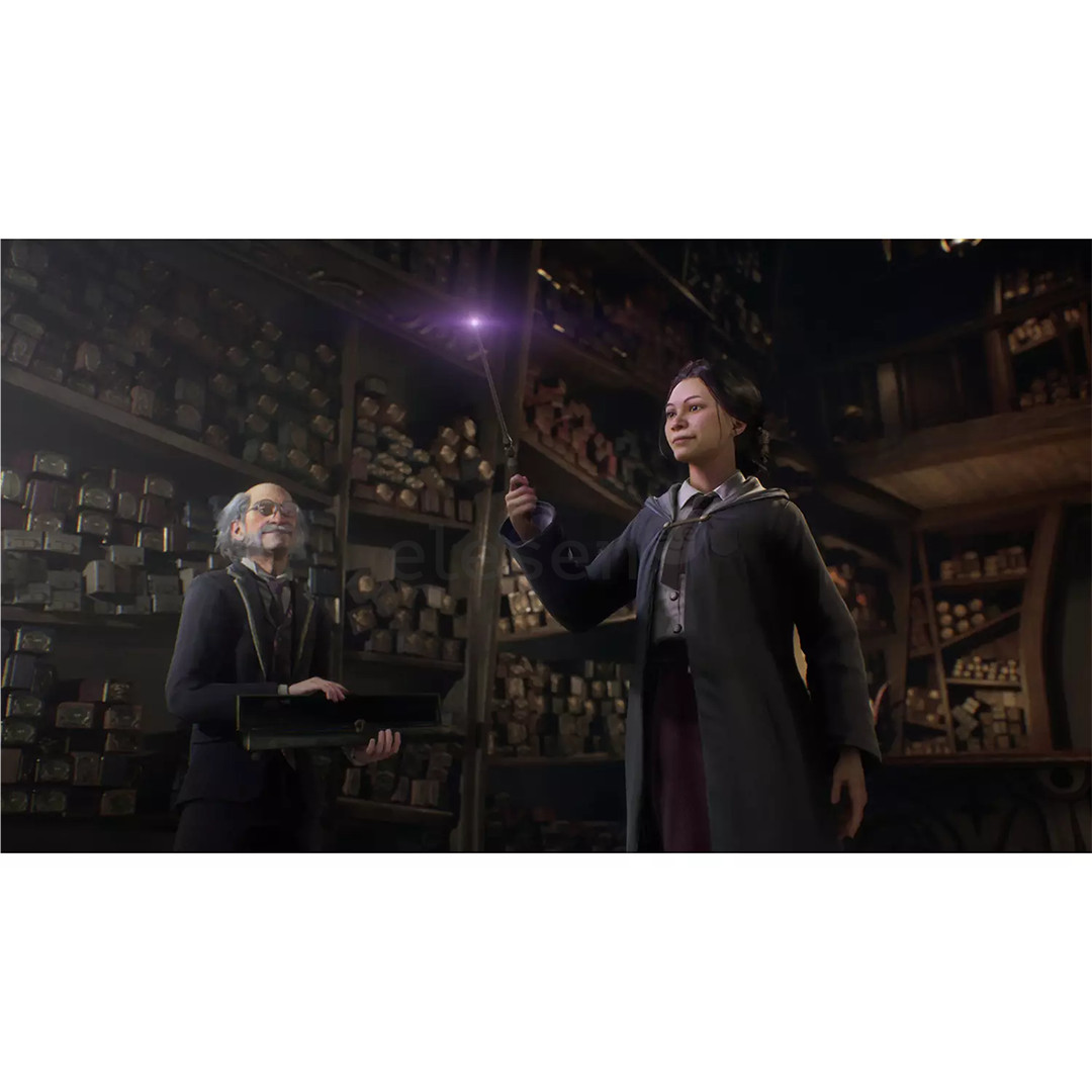 Hogwarts Legacy, Nintendo Switch - Žaidimas