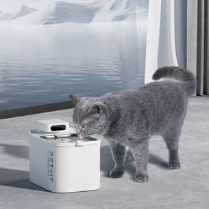 Petkit Unit RECT, Eversweet Max, 5 vnt. - Filtrai gyvūnų girdyklai