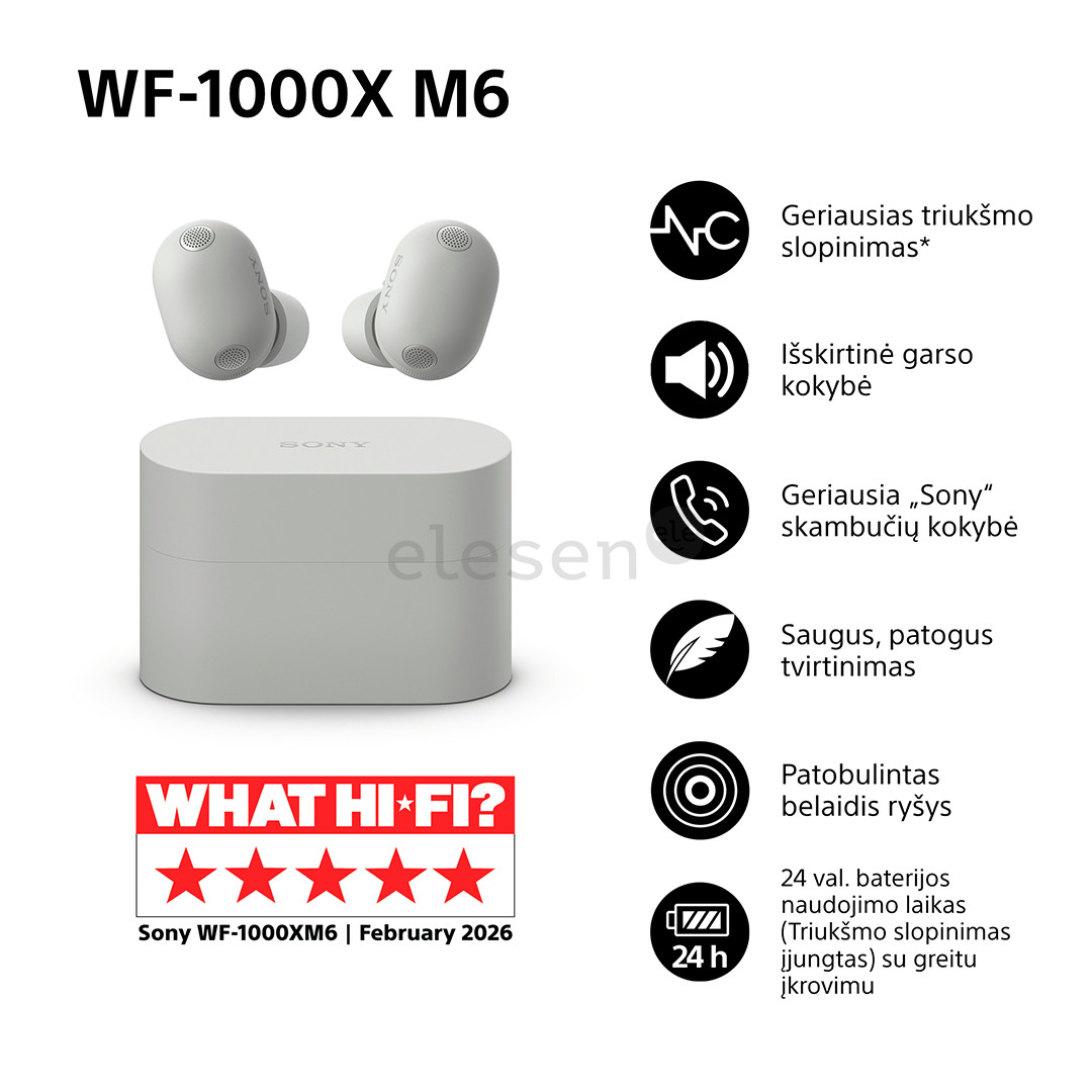 Sony WF-1000XM6, sidabro spalvos - Belaidės ausinės