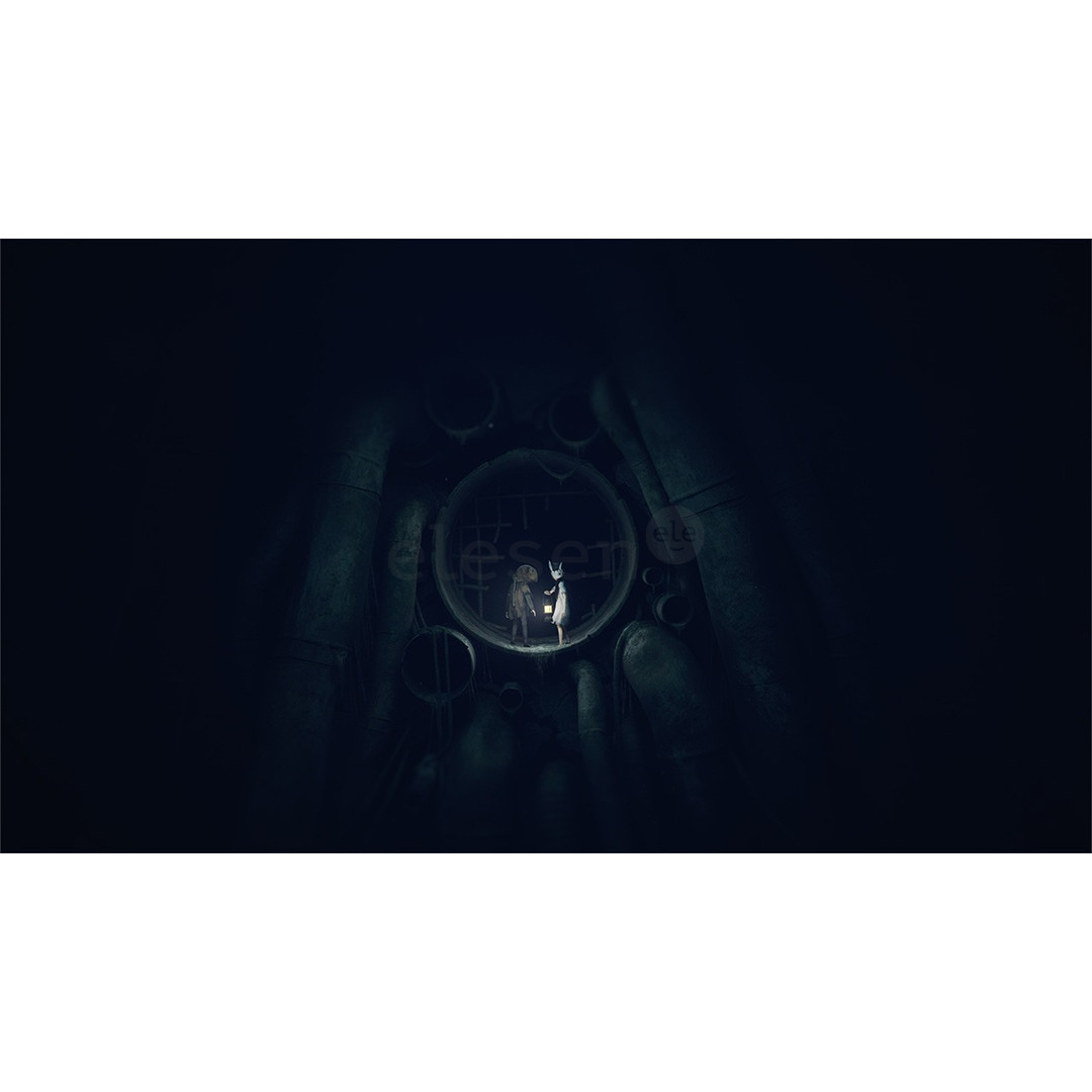 Reanimal, Nintendo Switch 2 - Game