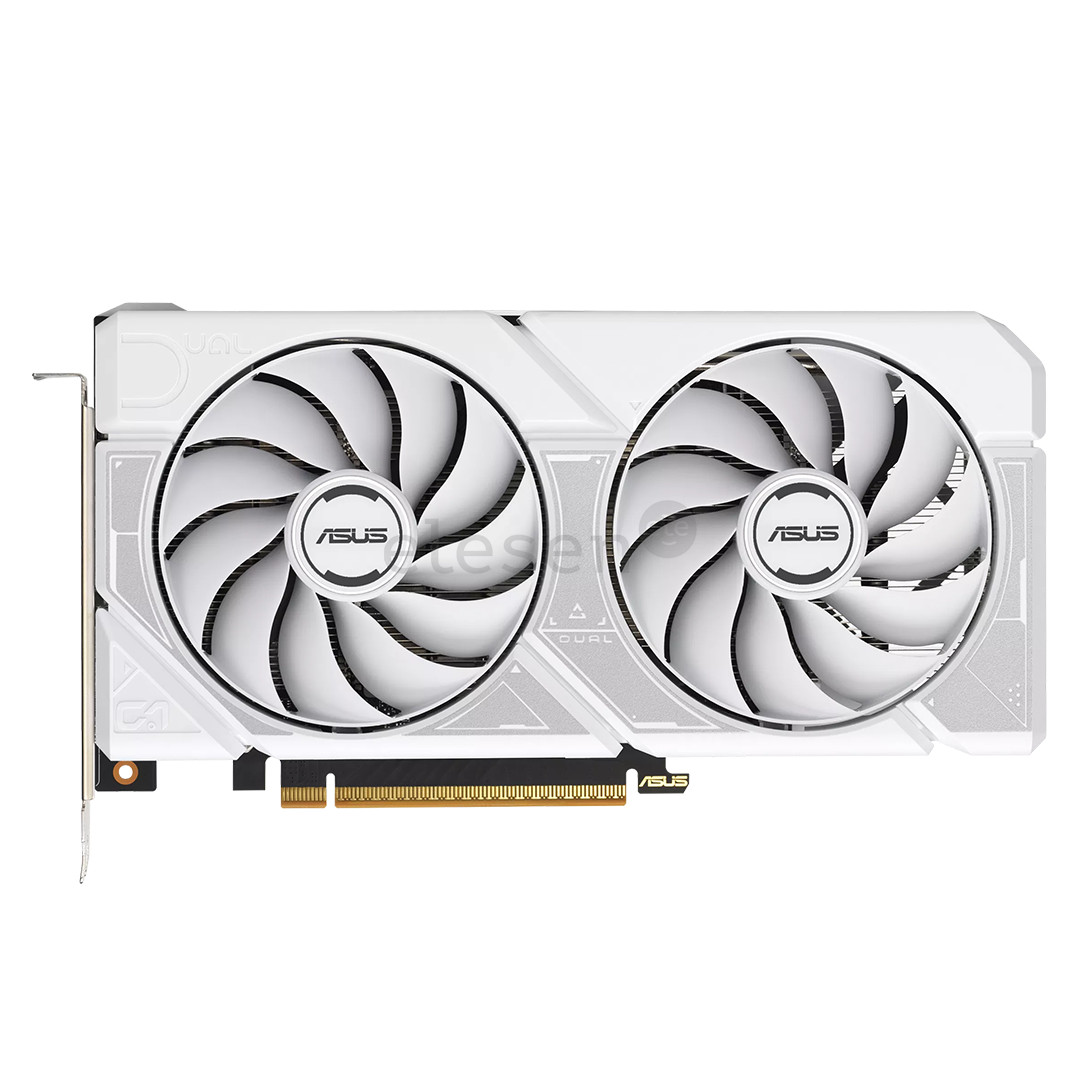 Asus NVIDIA GeForce RTX 5060, 8 GB, 128 bit, GDDR7, белый - Видеокарта