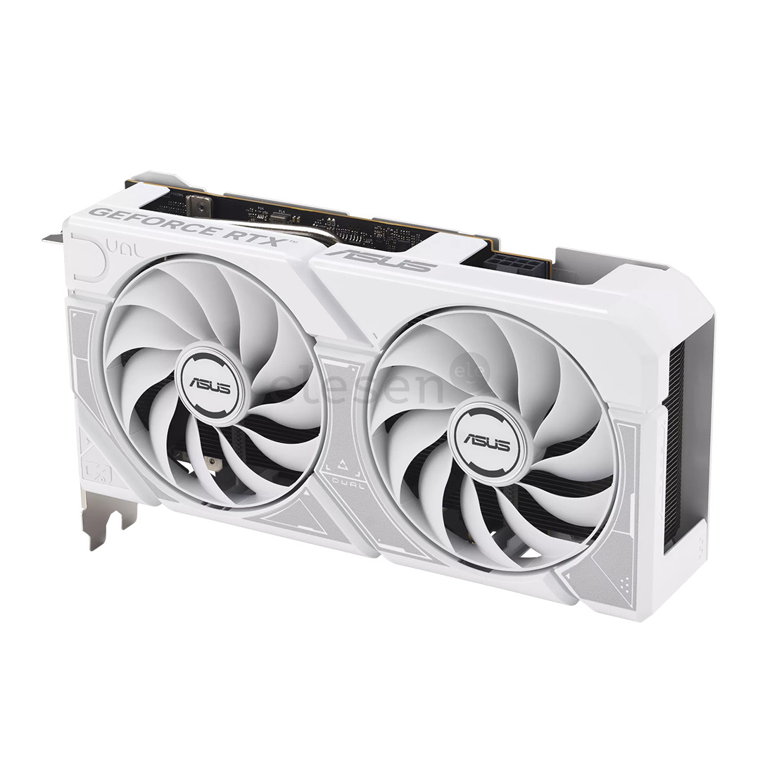 Asus NVIDIA GeForce RTX 5060, 8 GB, 128 bit, GDDR7, белый - Видеокарта