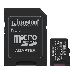 Kingston Canvas Select Plus, UHS-I, microSD, 256 GB, black - Memory card SDCS3/256GB