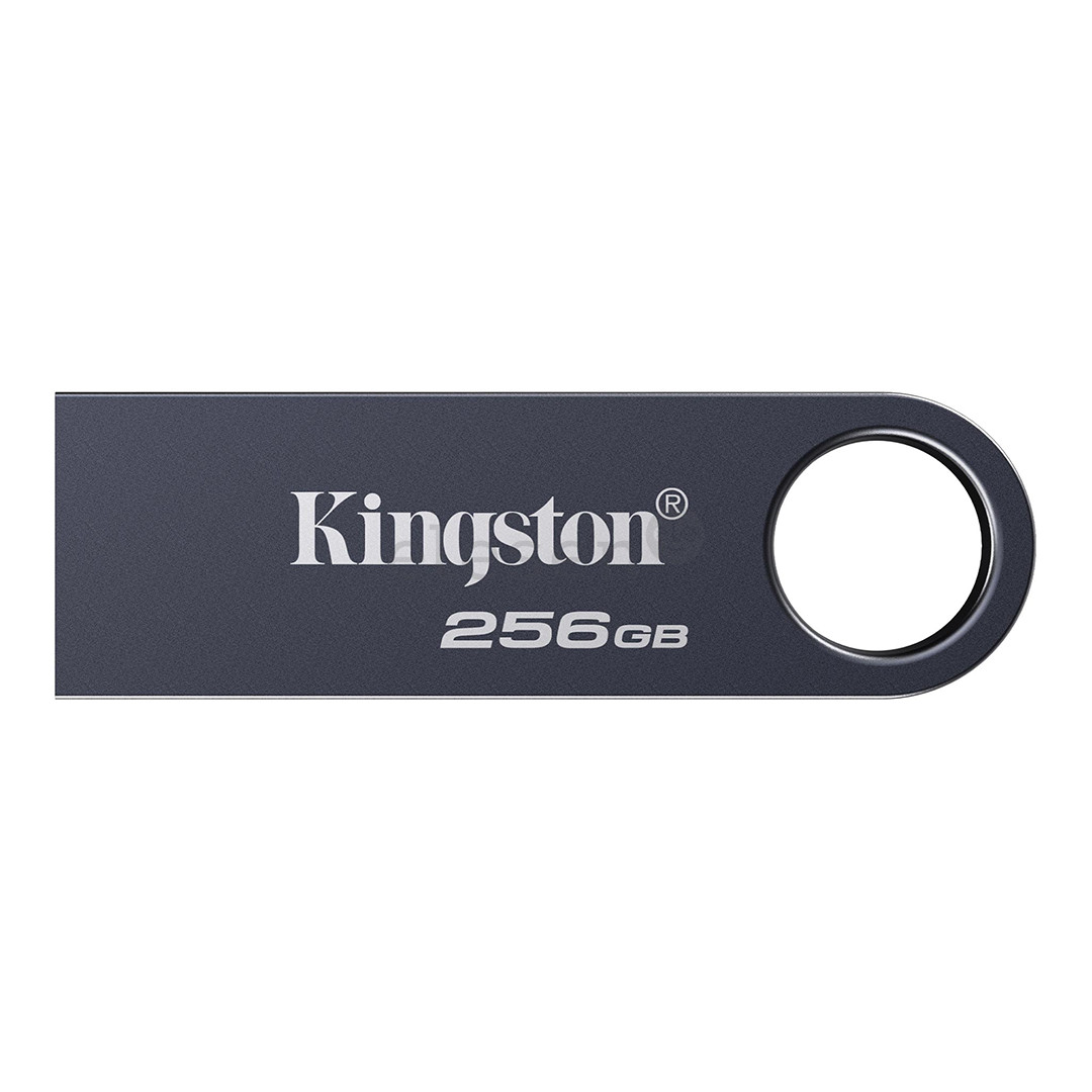 Kingston DataTraveler SE9 G3, 256 GB, tamsiai pilka - USB atmintinė