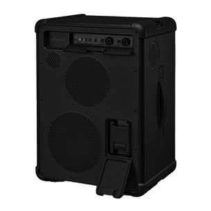 Marshall Bromley 450, juoda/žalvario spalvos - Belaidė kolonėlė