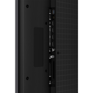 TCL C7L, 55'', 4K UHD, SQD-Mini LED, черный - Телевизор