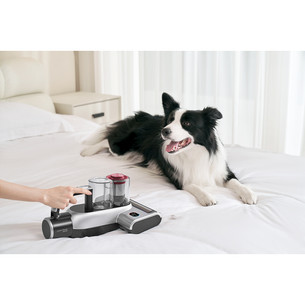 Jimmy BD7 Pro, grey - Cordless anti-mite vacuum cleaner