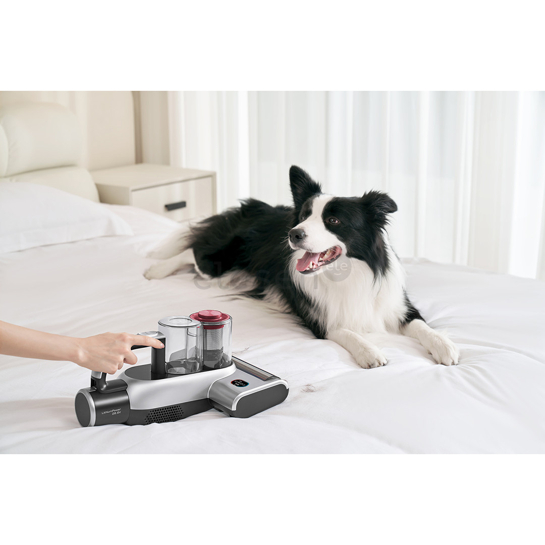 Jimmy BD7 Pro, grey - Cordless anti-mite vacuum cleaner