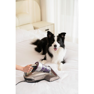 Jimmy JV35, grey - Anti-mite vacuum cleaner