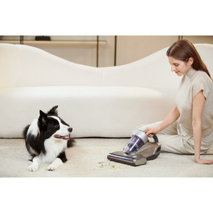 Jimmy JV35, grey - Anti-mite vacuum cleaner