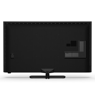 Philips The One PQS9011, 55'', 4K UHD, QLED, juodas - Televizorius