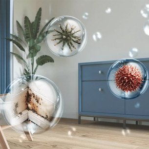 Philips 3000 Series, white/light grey - Air dehumidifier