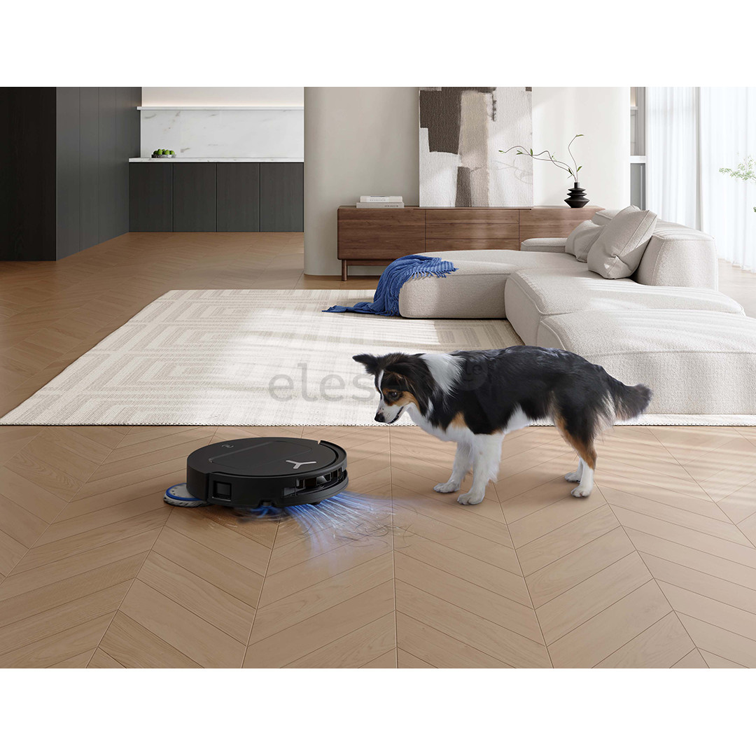 Ecovacs Deebot T50 OMNI Gen3, Wet & Dry, juodas - Dulkių siurblys robotas