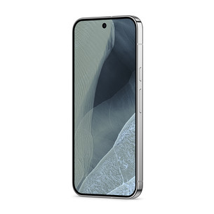 Google Pixel 11 Pro XL, 256 GB, šviesiai žalias - Išmanusis telefonas