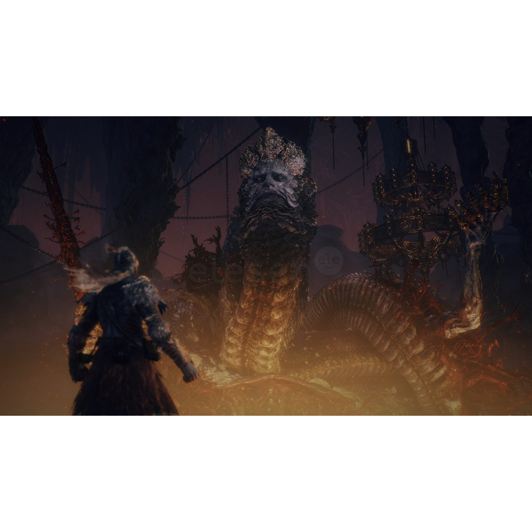 Elden Ring Tarnished Edition, Nintendo Switch 2 - Game
