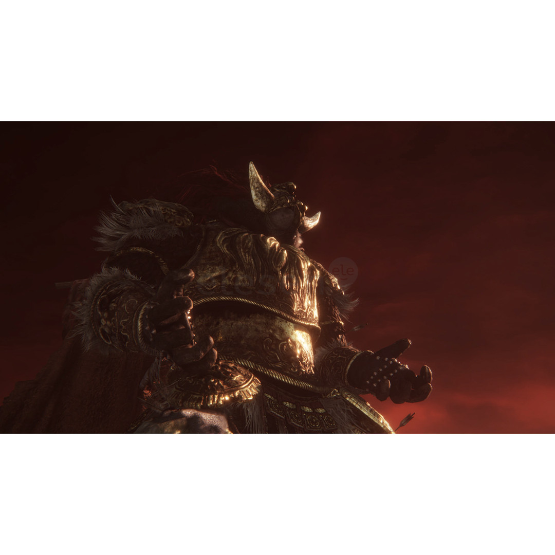 Elden Ring Tarnished Edition, Nintendo Switch 2 - Game