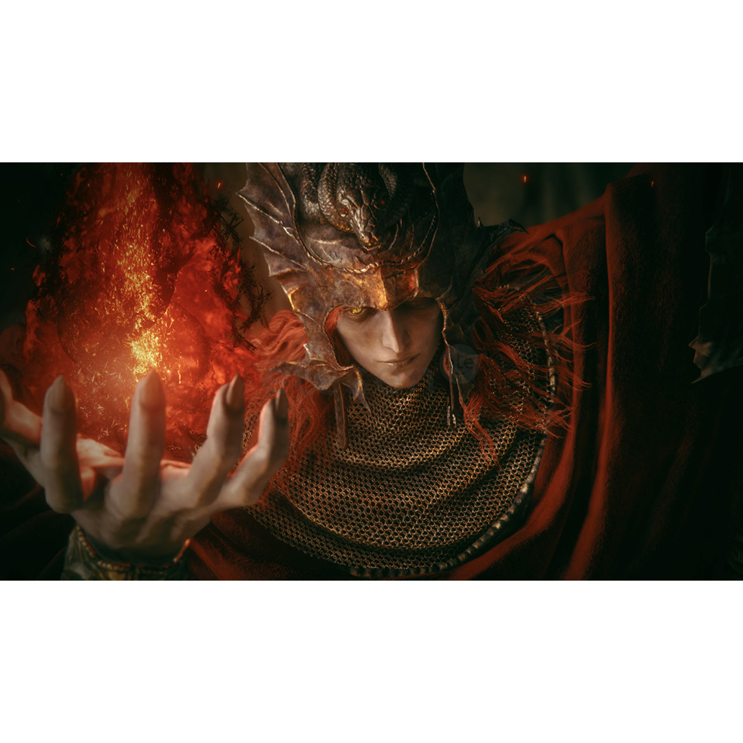 Elden Ring Tarnished Edition, Nintendo Switch 2 - Game