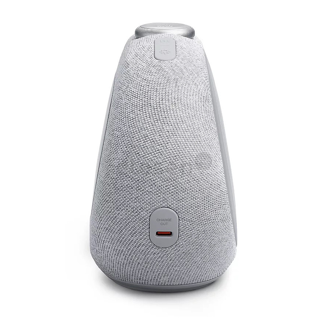 JBL HORIZON 3, серый - Радиобудильник