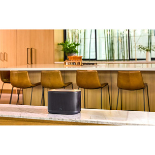 JBL Cove X1, juoda - Garso kolonėlė