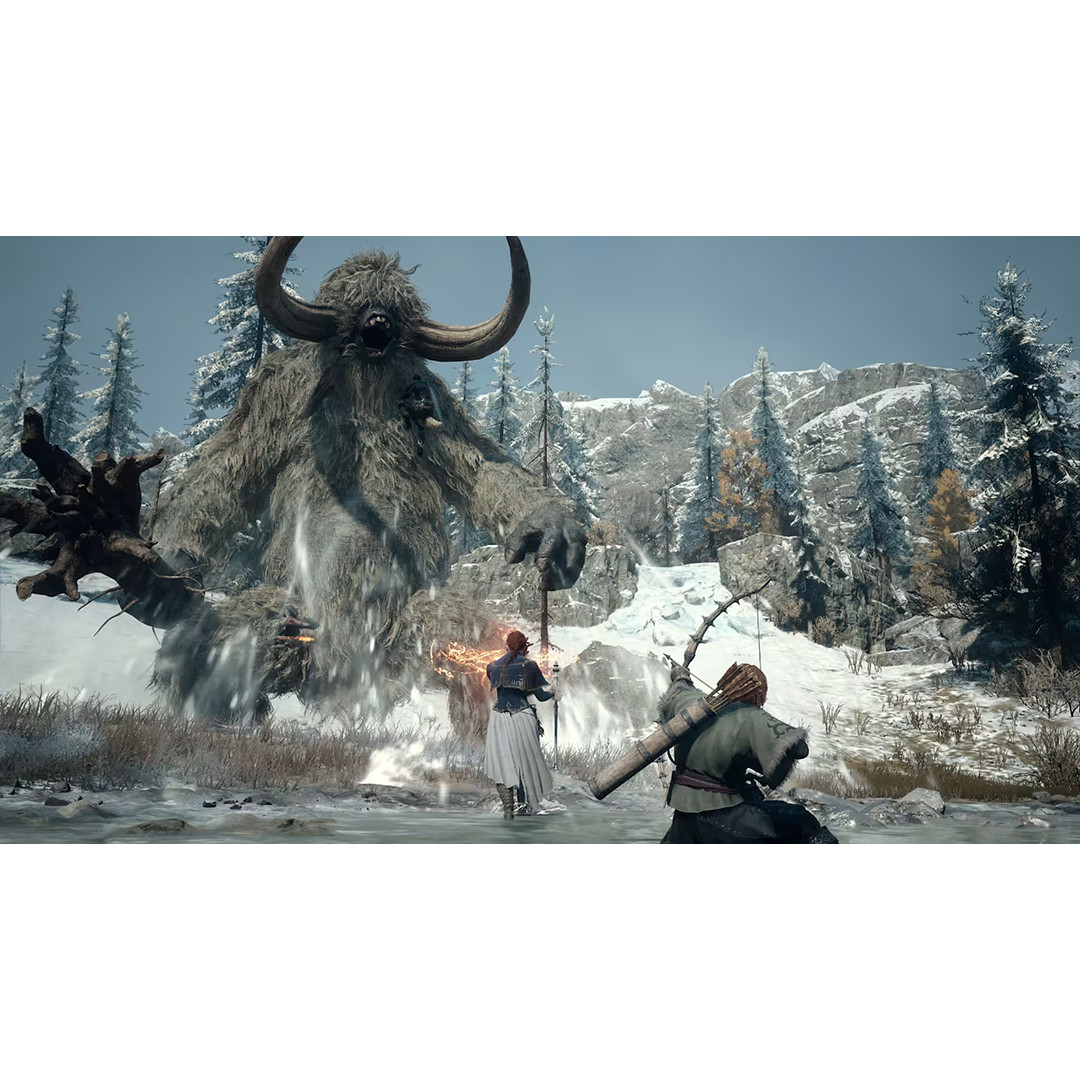 Dragon's Dogma 2: Dark Arisen, Nintendo Switch 2 - Game